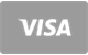 Visa karta płatnicza